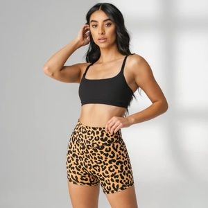 The Ascend Short (King Cheetah)